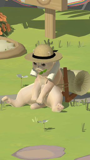 Resort para gatos Kitty