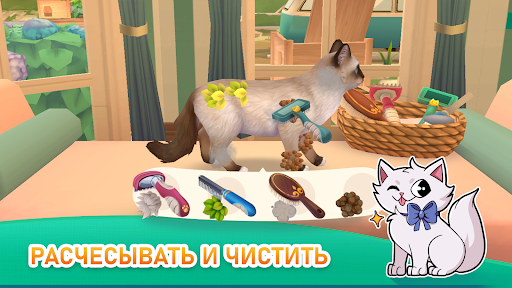 Rescatistas de gatos: Refugio