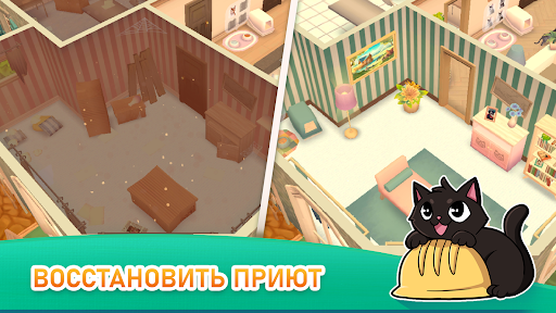 Rescatistas de gatos: Refugio