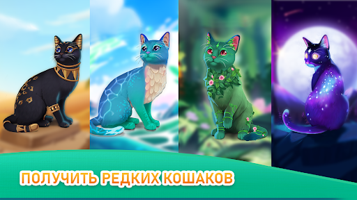 Rescatistas de gatos: Refugio